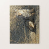 R19 Coyote Lay Puzzle (Vertikal)