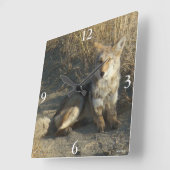 R19 Coyote Lay Quadratische Wanduhr (Winkel)