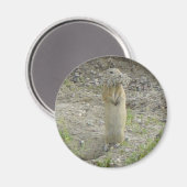 R1 Gopher Richardson's Erdhörnchen Magnet (Vorderseite/Rückseite)