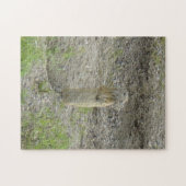 R1 Richardsons Erdhörnchen Gopher Puzzle (Horizontal)