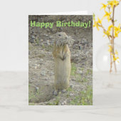 R1 Richardsons Grundeichhörnchen Karte (Gelbe Blume)