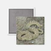 R20 Prairie Rattlesnake Wounded Magnet (Vorderseite/Rückseite)