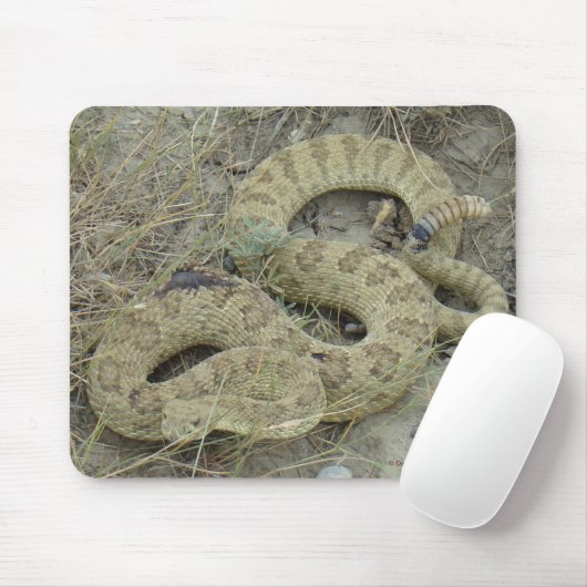 R20 Prairie Rattlesnake Wounded Mousepad (Mit Mouse)