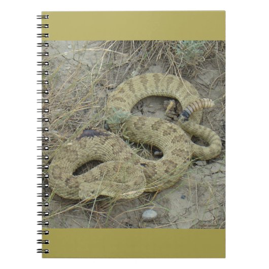 R20 Prairie Rattlesnake Wounded Notizblock (Vorderseite)