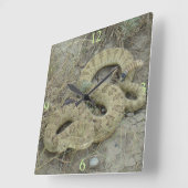 R20 Prairie Rattlesnake Wounded Quadratische Wanduhr (Winkel)