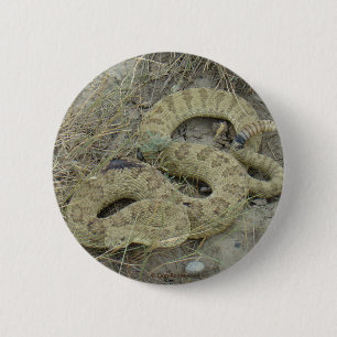 R20 Prärie-Klapperschlange Button