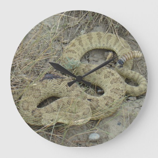 R20 Prärie Rattlesnake Große Wanduhr (Vorderseite)