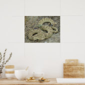 R20 Prärie Rattlesnake Poster (Küche)