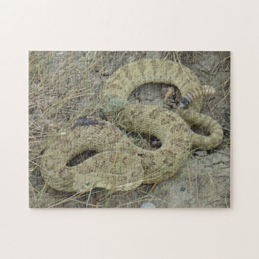 R20 Prärie Rattlesnake Puzzle (Horizontal)