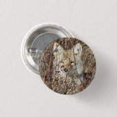 R21 Coyote, die Sie beobachten Button (Vorne & Hinten)