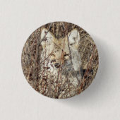 R21 Coyote, die Sie beobachten Button (Vorderseite)