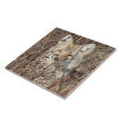 R21 Coyote "Watching You" Fliese (Seite)