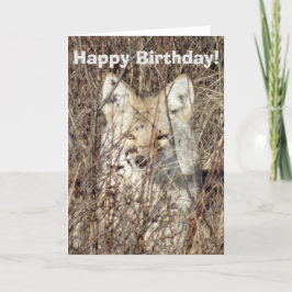 R21 Coyote "Watching You" Karte