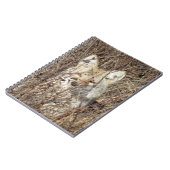 R21 Coyote "Watching You" Notizblock (Linke Seite)