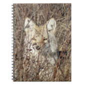 R21 Coyote "Watching You" Notizblock (Vorderseite)