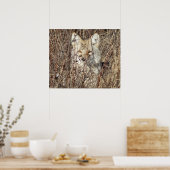 R21 Coyote "Watching You" Poster (Küche)