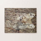 R21 Coyote "Watching You" Puzzle (Horizontal)