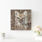 R21 Coyote "Watching You" Quadratische Wanduhr (Zuhause)