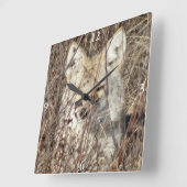 R21 Coyote "Watching You" Quadratische Wanduhr (Winkel)