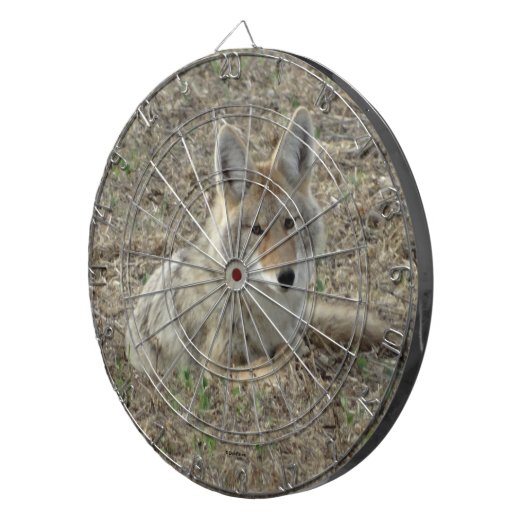 R22 Coyote Lay Dartscheibe (Vorderseite rechts)