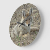 R22 Coyote Lay Große Wanduhr (Winkel)
