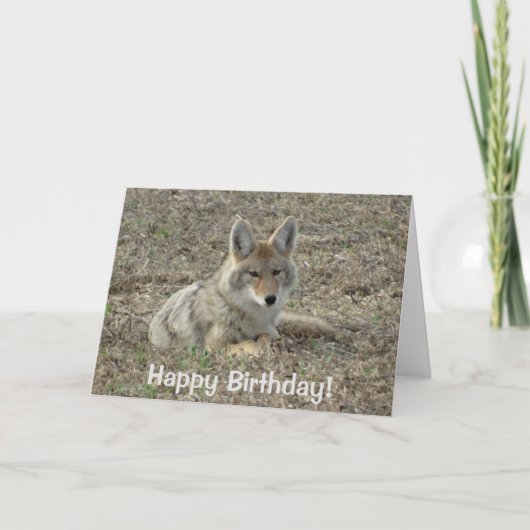 R22 Coyote Lay Karte (Vorderseite)