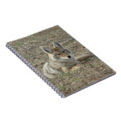 R22 Coyote Lay Notizblock (Rechte Seite)