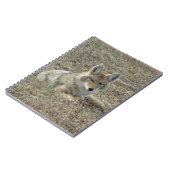 R22 Coyote Lay Notizblock (Linke Seite)