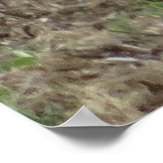 R22 Coyote Lay Poster (Ecke)