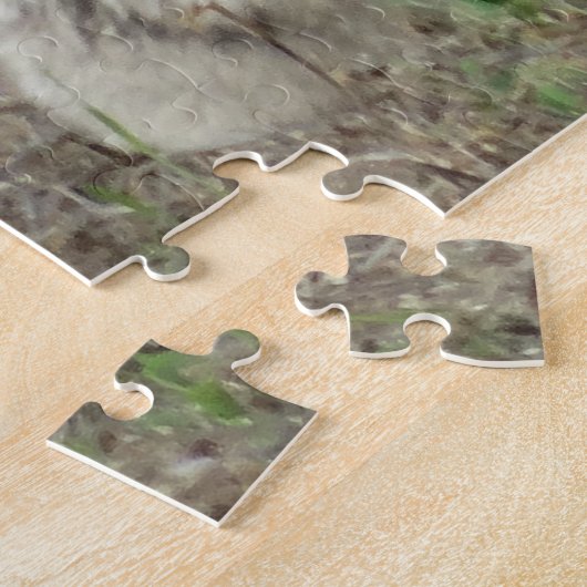 R22 Coyote Lay Puzzle (Seite)