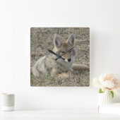 R22 Coyote Lay Quadratische Wanduhr (Zuhause)