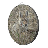 R22 Kojote liegt Dartscheibe (Vorderseite rechts)