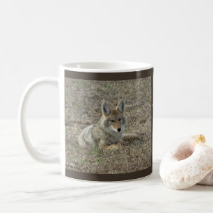 R22 Kojote liegt Kaffeetasse