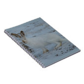 R23 Schneeschuh-Hare Notizblock (Rechte Seite)