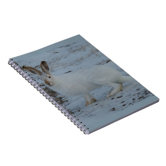 R23 Schneeschuh-Hare Notizblock (Rechte Seite)