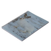 R23 Schneeschuh-Hare Notizblock (Linke Seite)