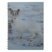 R23 Schneeschuh-Hare Notizblock (Vorderseite)