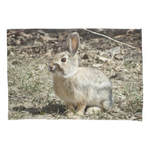 R24 Baumwollschwanzkaninchen Kissenbezug