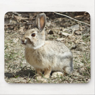 R24 Baumwollschwanzkaninchen Mousepad