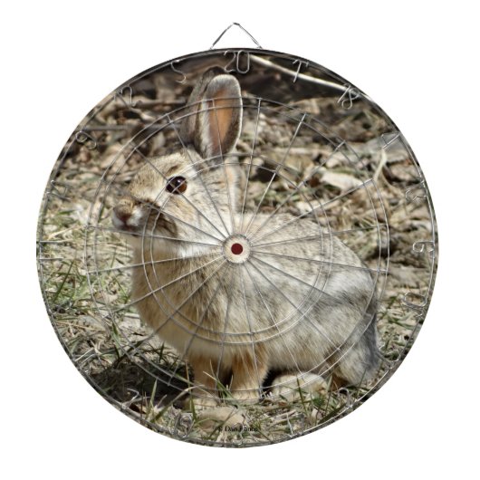 R24 Kaninchen aus Baumwolle und Schwanz Dartscheibe (vorne)