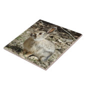 R24 Kaninchen aus Baumwolle und Schwanz Fliese (Seite)