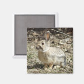 R24 Kaninchen aus Baumwolle und Schwanz Magnet (Vorderseite/Rückseite)