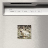 R24 Kaninchen aus Baumwolle und Schwanz Magnet (In Situ (Geschirrspüler))