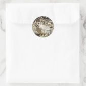 R24 Kaninchen aus Baumwolle und Schwanz Runder Aufkleber (Tasche)