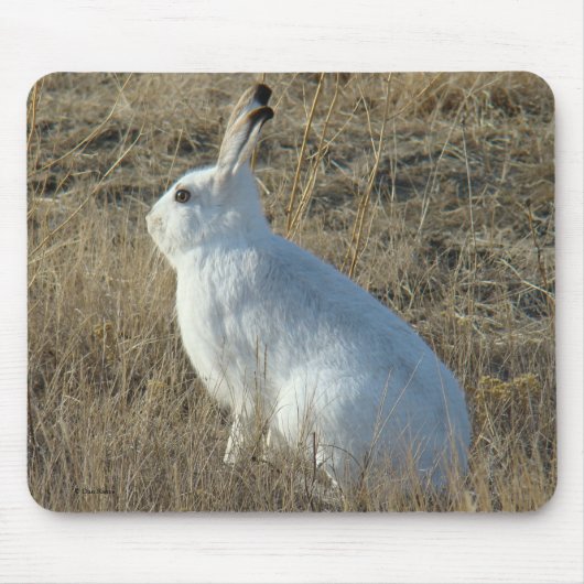 R25 Schneeschuh-Hare Mousepad (Vorne)