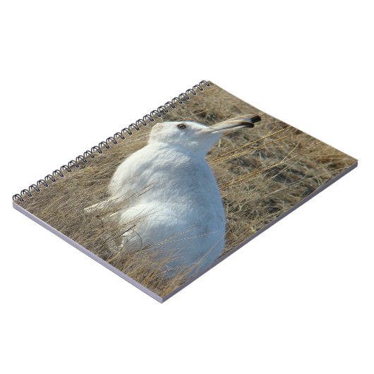 R25 Schneeschuh-Hare Notizblock (Linke Seite)