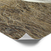 R25 Schneeschuh-Hare Poster (Ecke)