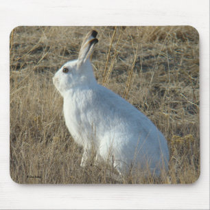 R25 Schneeschuhhase Mousepad