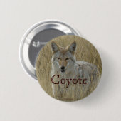 R2 Coyote in Großgras Button (Vorne & Hinten)