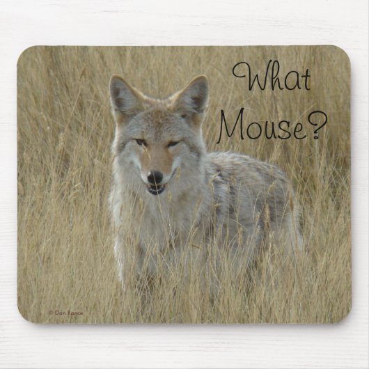 R2 Coyote in Großgras Mousepad (Vorne)